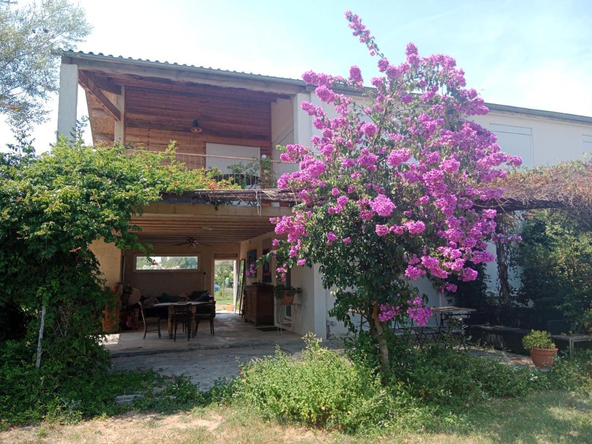 Domaine Limouzy Villa Narbonne Exteriör bild