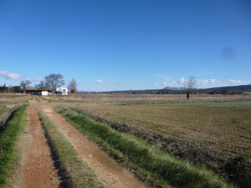 Domaine Limouzy Villa Narbonne Rum bild