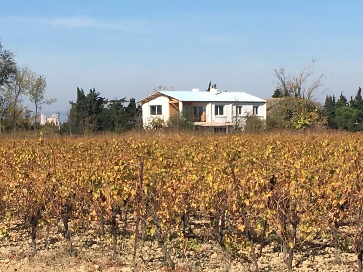 Domaine Limouzy Villa Narbonne Exteriör bild
